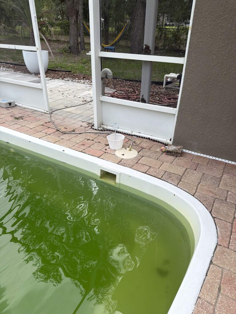 Before: Michaels House pool with green, untreated water